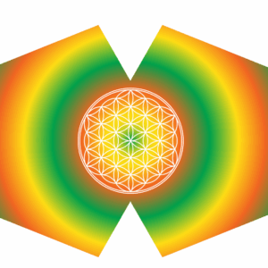 Reusable Fashion Face Mask - Flower of Life (Adult)