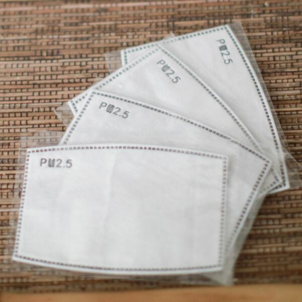 PM2.5 Face Mask Filter Insert (Children) - Image 2