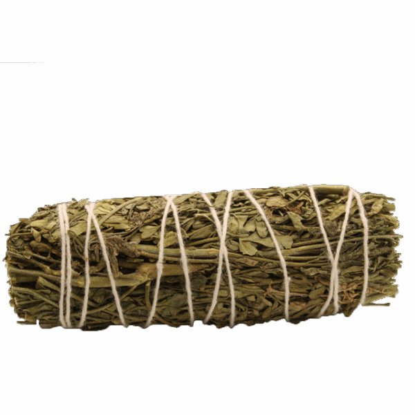 Smudge Stick -  Ruda Rue Sage 10cm - Image 2