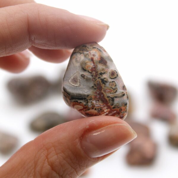 M Tumble Stone - Leopard Skin - Image 2