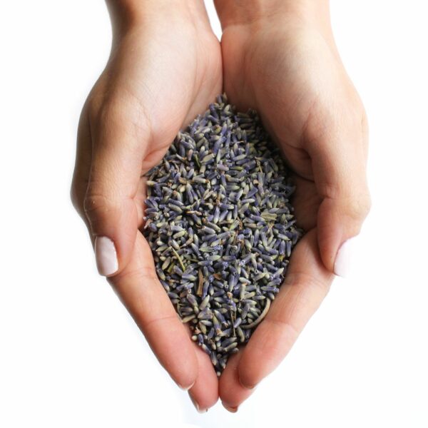 Lavender Flowers  (1KG) - Image 4