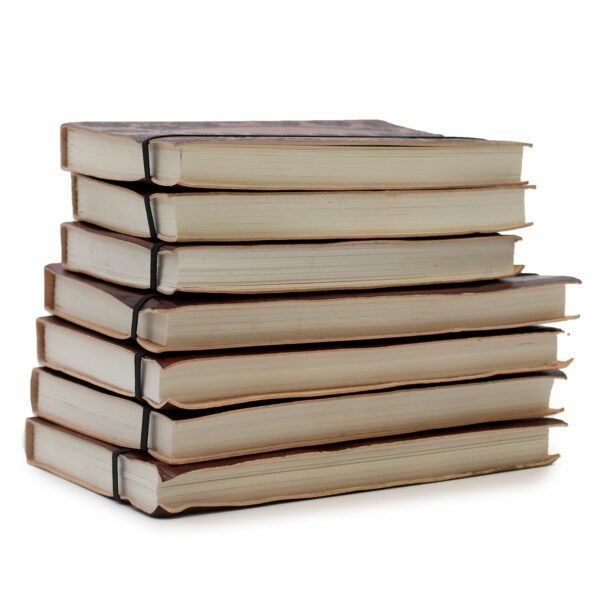 Medium Notebook with strap - Tree of Life - Image 2