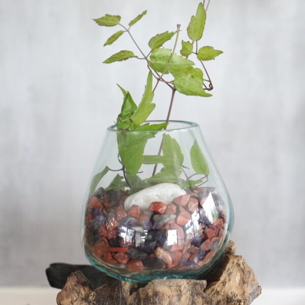 Molten Glass on Wood with Stand - Large Bowl - Image 7