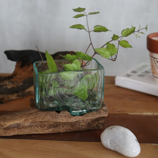 Molten Glass Tank on Wood with Stand - Medium Bowl - Image 6