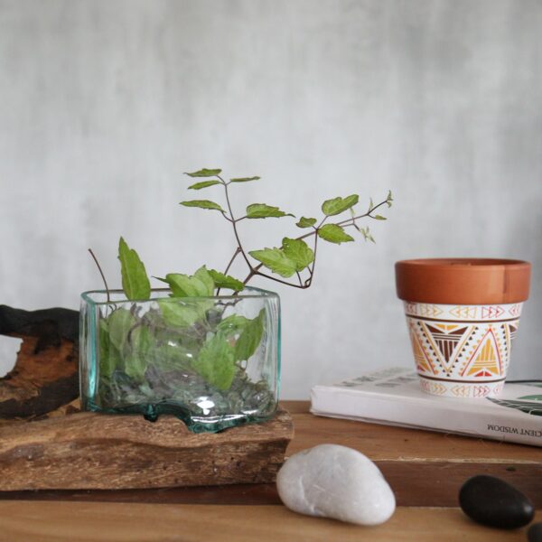 Molten Glass Tank on Wood with Stand - Medium Bowl - Image 7