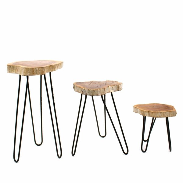 Set of 3 Gamal Wood Plant Stands - Whitewash - Image 6