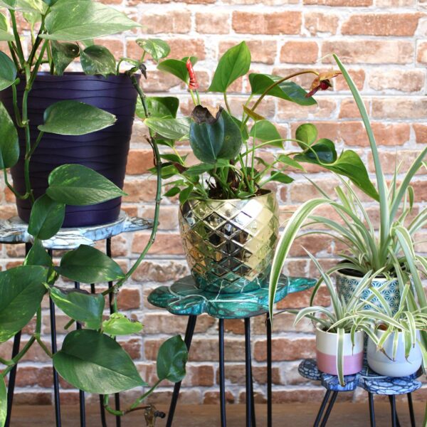 Set of 3 Gamal Wood Plant Stands - Natural - Image 4