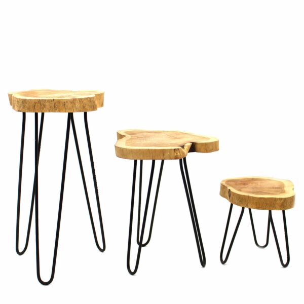 Set of 3 Gamal Wood Plant Stands - Natural - Image 7