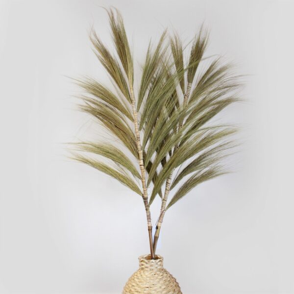 Rayung Grass Natural - 1.6m - Image 3