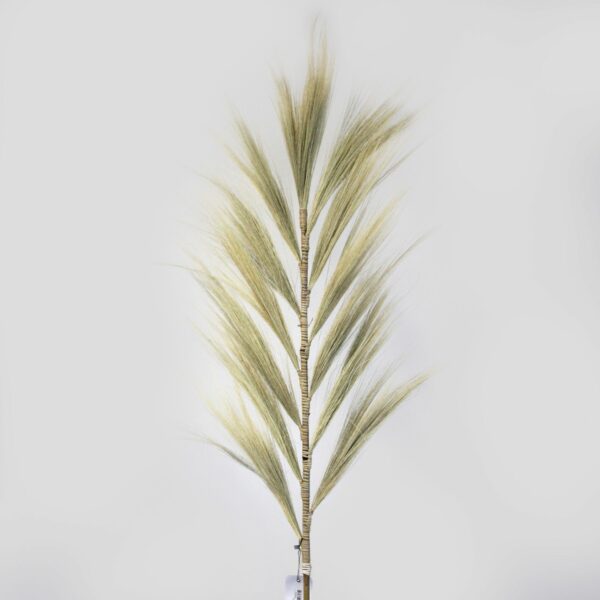 Rayung Grass Blond - 1.6m - Image 2