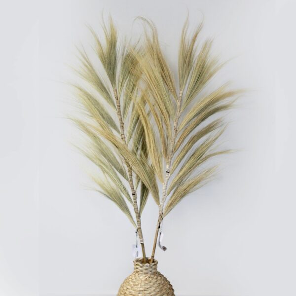 Rayung Grass Blond - 1.6m - Image 3