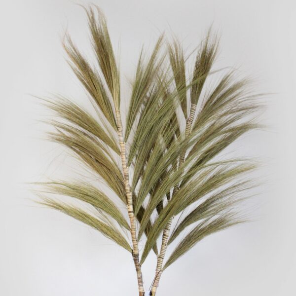 Rayung Grass Natural - 2m - Image 3
