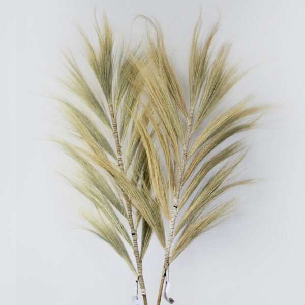 Rayung Grass Blond - 2m - Image 3