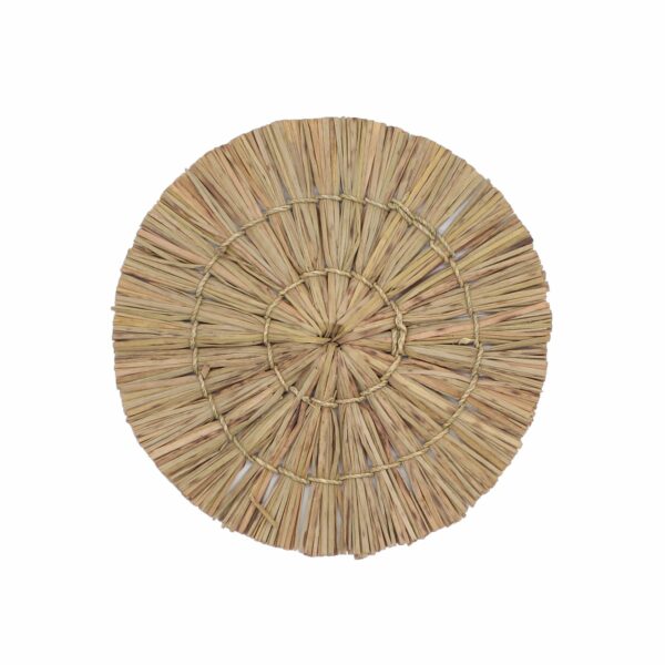Set of Six Natural Wall Art - Bintang Collection - Image 7