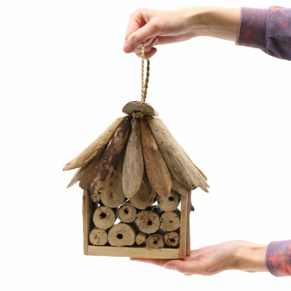 Driftwood Bee & Insect Box - Image 4
