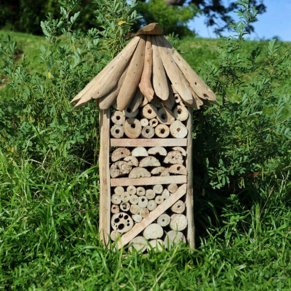 Driftwood Bee & Insect Highrise Box - Image 2