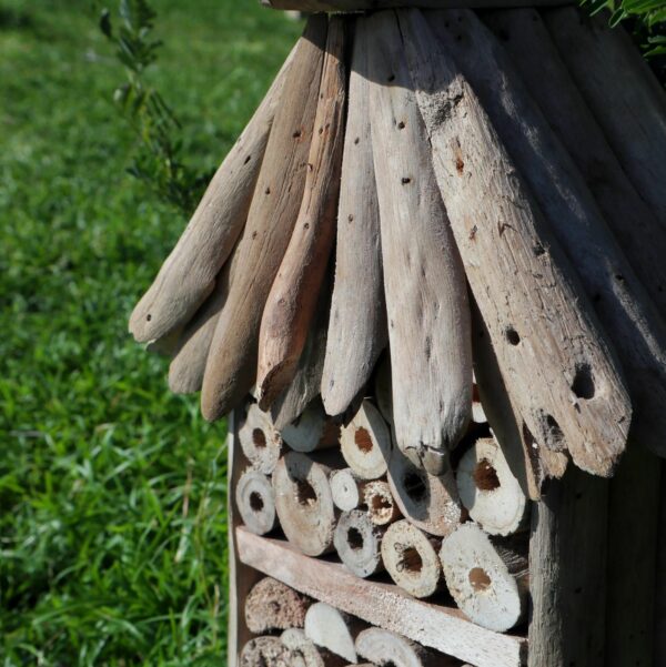 Driftwood Bee & Insect Highrise Box - Image 3