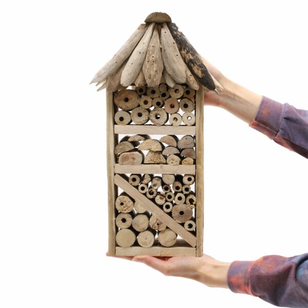 Driftwood Bee & Insect Highrise Box - Image 6