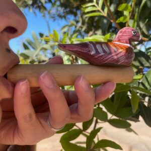 Simple Bamboo Bird Whistle
