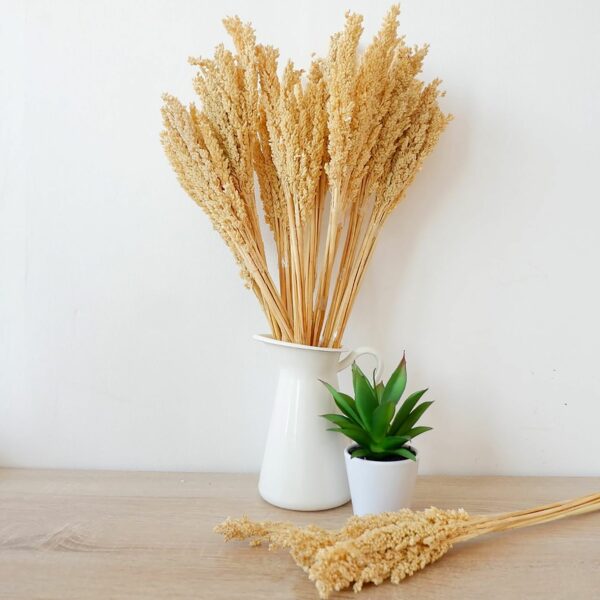 Cantal Grass Bunch - Natural - Image 2