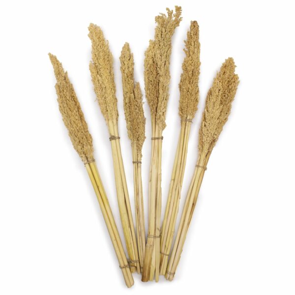 Cantal Grass Bunch - Natural - Image 4