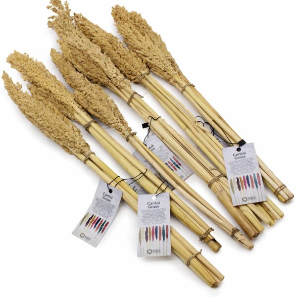 Cantal Grass Bunch - Natural - Image 5
