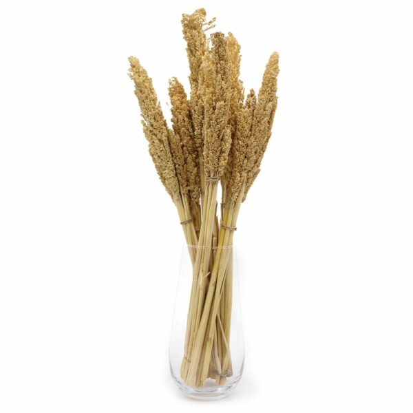 Cantal Grass Bunch - Natural - Image 6