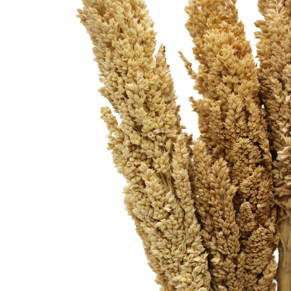 Cantal Grass Bunch - Natural - Image 7
