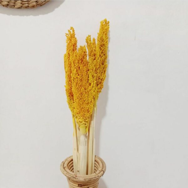 Cantal Grass Bunch - Amber - Image 3