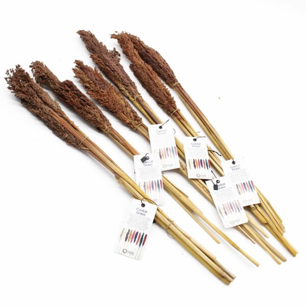 Cantal Grass Bunch - Chocolate - Image 2
