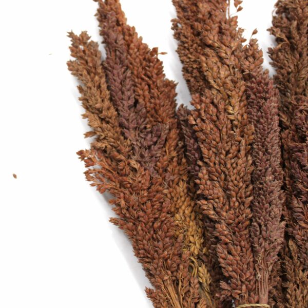 Cantal Grass Bunch - Chocolate - Image 5