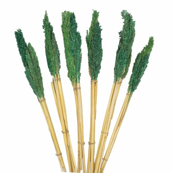 Cantal Grass Bunch - Teal - Image 3