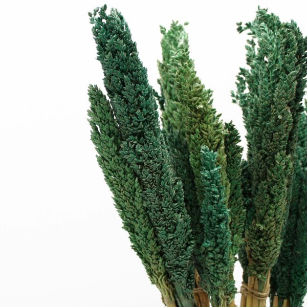 Cantal Grass Bunch - Teal - Image 5