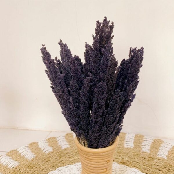 Cantal Grass Bunch - Black - Image 3