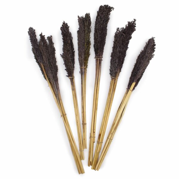 Cantal Grass Bunch - Black - Image 5
