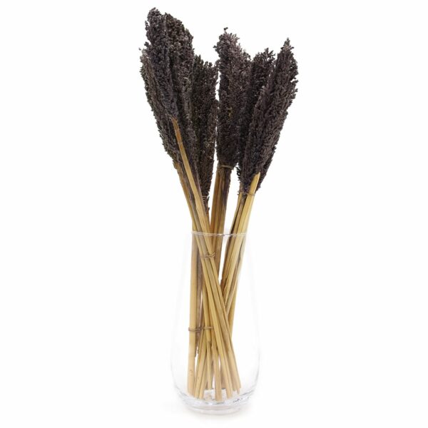 Cantal Grass Bunch - Black - Image 6