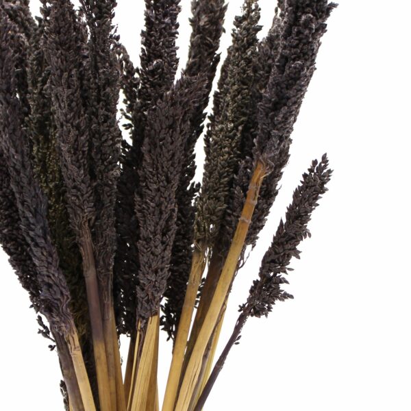 Cantal Grass Bunch - Black - Image 7