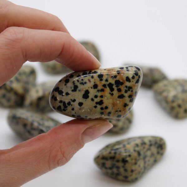 XL Tumble Stones - Dalmation Stone - Image 2