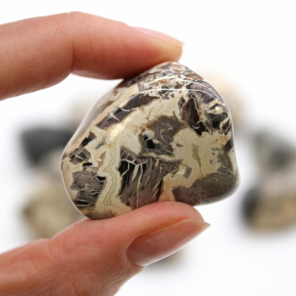 XL Tumble Stones - Jasper - Silverleaf - Image 2