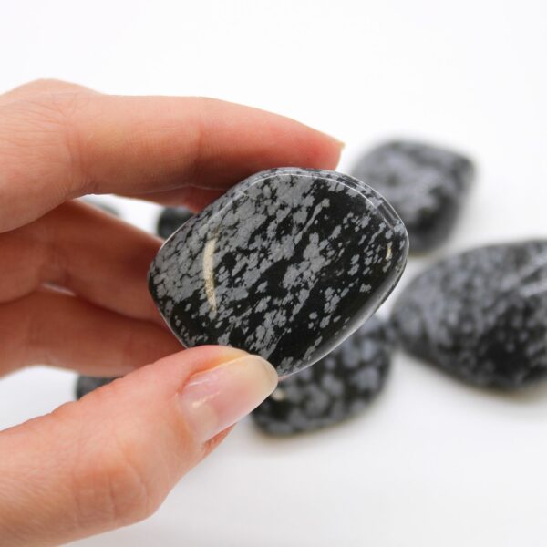 XL Tumble Stones - Obsidian Snowflake - Image 2