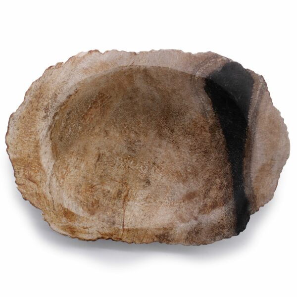 Petrified Wood Black Soap Dish - Image 2