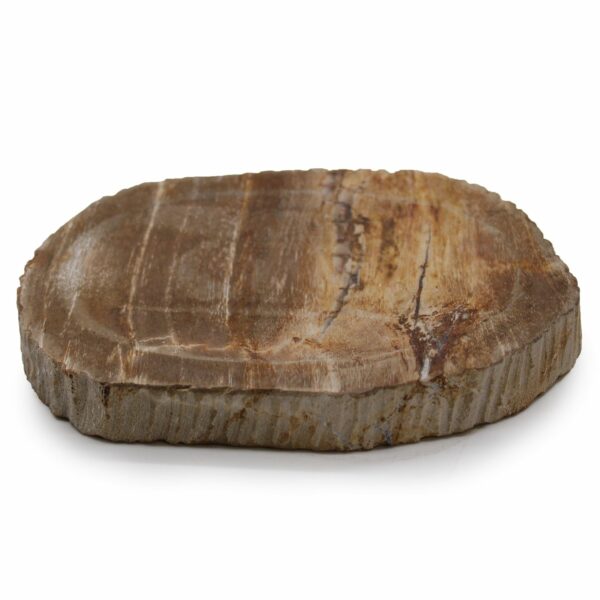 Petrified Wood Brown Soap Dish - Image 2