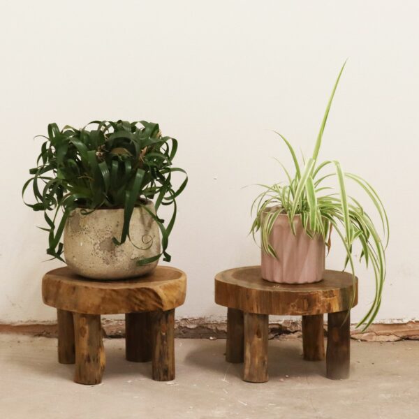 Med Teak Pad Display - 27x15cm - Image 3