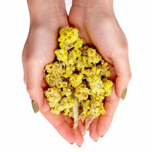 Everlasting Flowers (0.5KG) - Image 3