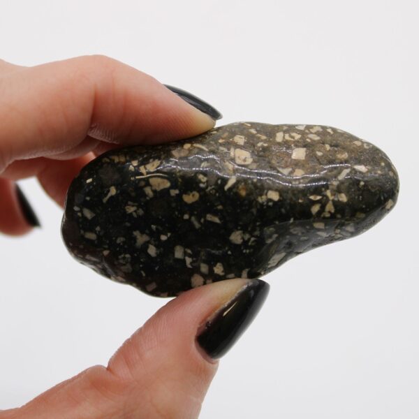 Large African Tumble Stones - Guinea Fowl Large - Image 2