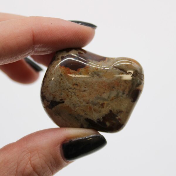 Large African Tumble Stones - Jasper Nguni - Image 2