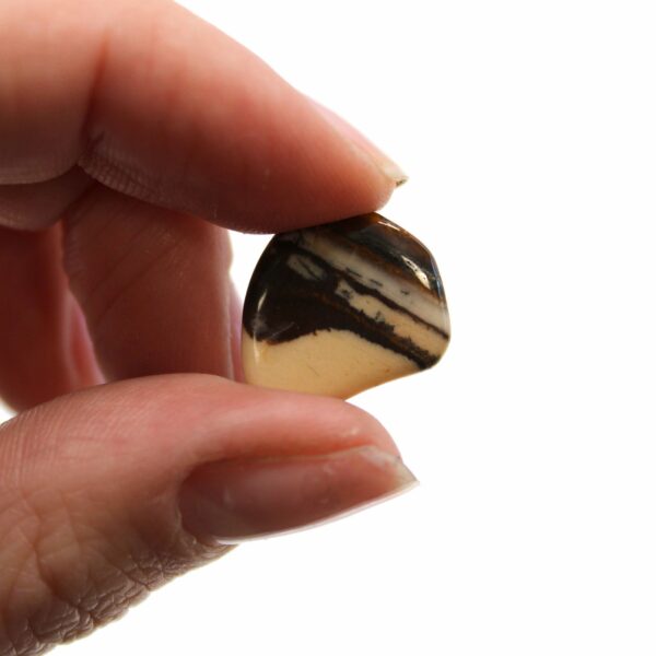Small African Tumble Stones - Picture Nguni - Image 2