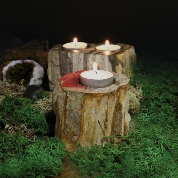 Petrified Wood Candle Holder - Single Tall - Image 2
