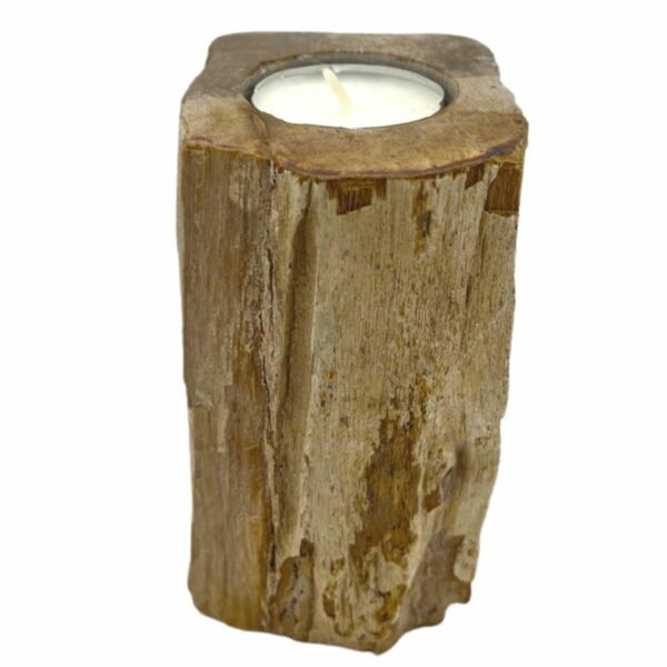 Petrified Wood Candle Holder - Single Tall - Image 3