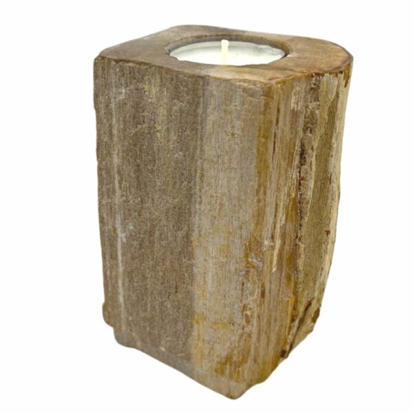 Petrified Wood Candle Holder - Single Tall - Image 4